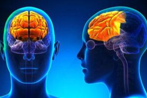 “Solo se puede enseñar a través de la alegría” Francisco Mora